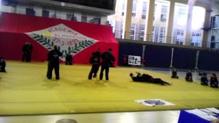 preview picture of video 'Demonstracao Hapkido ADS EMRL Almada'