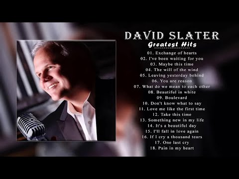 David Slater Greatest Hits - The Best Songs Of David Slater