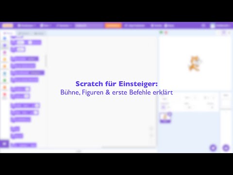 Scratch für Einsteiger: Bühne, Figuren & erste Befehle erklärt