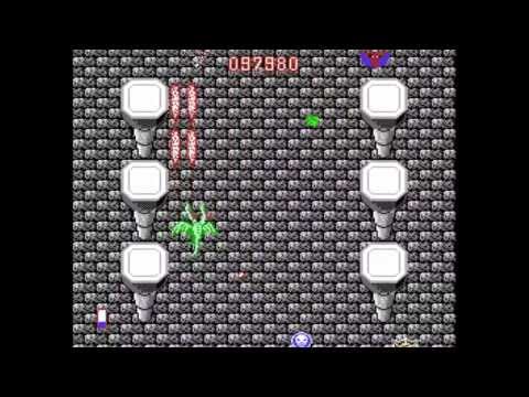 Dragon Spirit : The New Legend NES