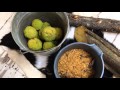 New Earth Resiliency Training Module - Natural Dyeing with Osage Orange Tree Heartwood