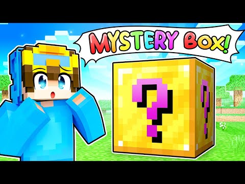 Nico Opens A MYSTERY BOX In Minecraft!