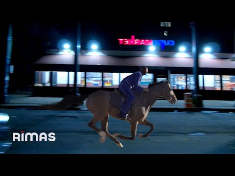 Miniatura de VUELVE CANDY B