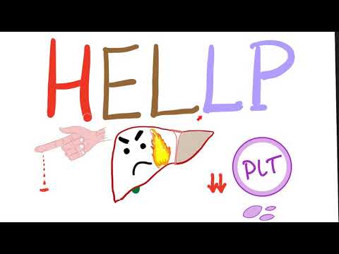 HELLP Syndrome - Hemolysis, Elevated Liver, Low Platelets - Hematology