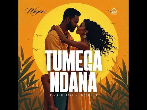 Wayner - Tumegandana (Official Audio)