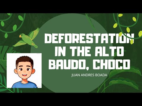 Deforestation in the Alto Baudo, Chocó, Juan Boada 7-22