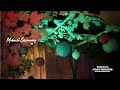 Sooraj Dooba Hai (Remix) Feat. ARIJIT SINGH | Mehhndi Highlights 2017