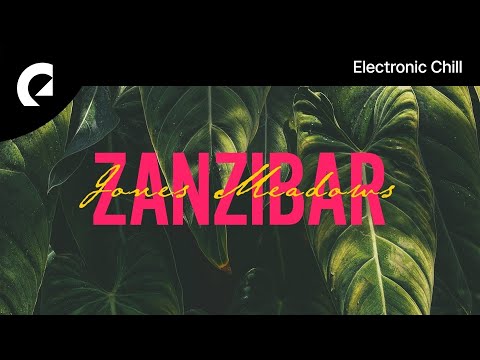 Jones Meadow - Wildfires (Royalty Free Music)