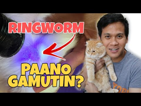 PAANO GAMUTIN ANG PUSA AT ASO NA MAY RINGWORM | HOW TO TREAT CATS AND DOGS RINGWORM | HOME REMEDIES