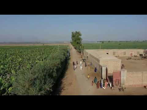 Umair Ghaffar Bachani Fruit and Vegetable Farms