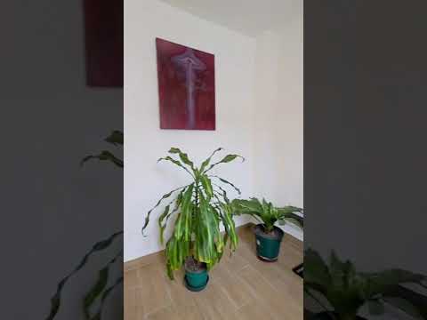 Video de YouTube - Venta casa de 4 dormitorios padrón único en Brazo Oriental