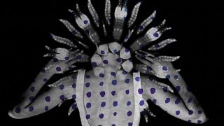 Vanishing Twin - The Conservation Of Energy (Official Video)