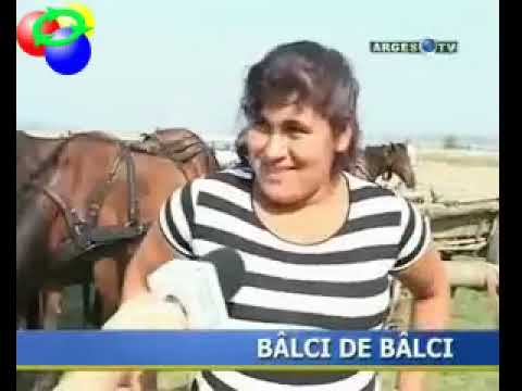 Balci de balci la Piscani, Arges - varianta ORIGINALA