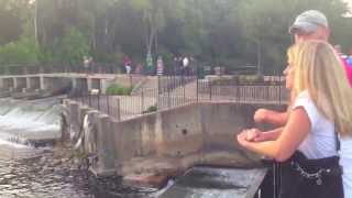 Bill&#39;s Place - Ruby Falls - Guster