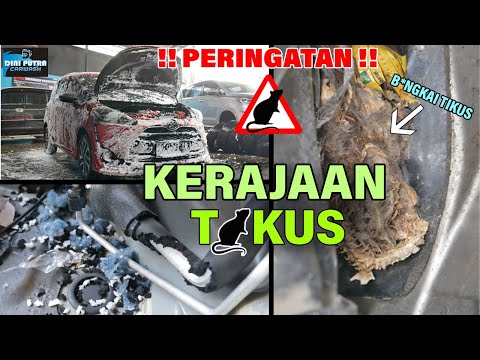 Thumbnail for PENEMUAN BANGKAI TIKUS | Salon Interior & Mesin TOYOTA SIENTA by Toyota Sienta