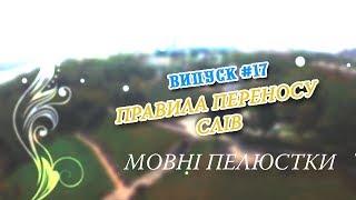 Мовні пелюстки. Випуск #17. ПРАВИЛА ПЕРЕНОСУ СЛІВ.