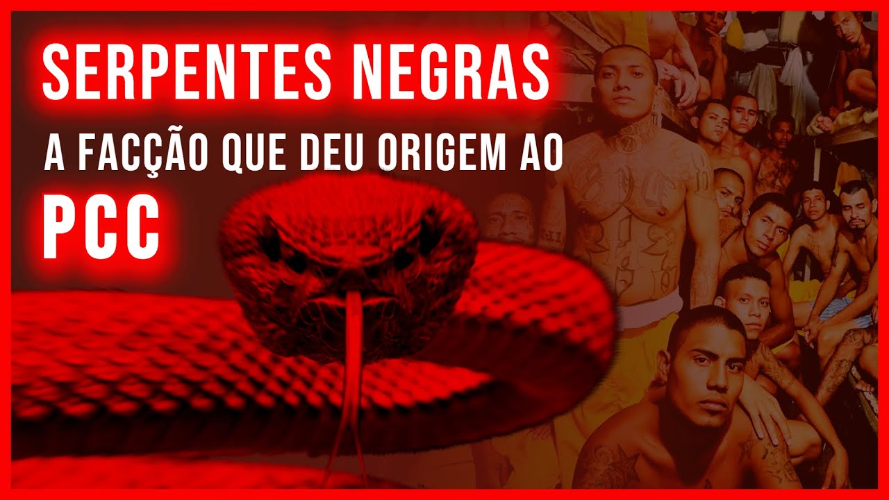 Serpentes Negras: A Verdade Oculta sobre a Facção que inspirou o PCC
