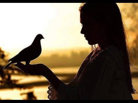 Wasanthe Nidaa Un ~ වසන්තේ නිදා උන් / හේමන්තයේදී - නන්දා මාලීනි