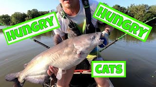 Catching Trophy Catfish on Live Bait Outside of Jimmy Dean's Pad | James River | Kayak | Catfishing