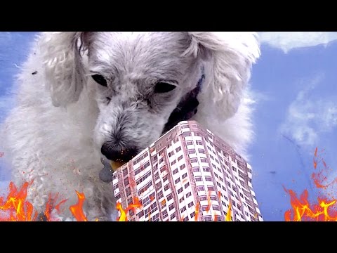 Dogzilla Attacks New York City