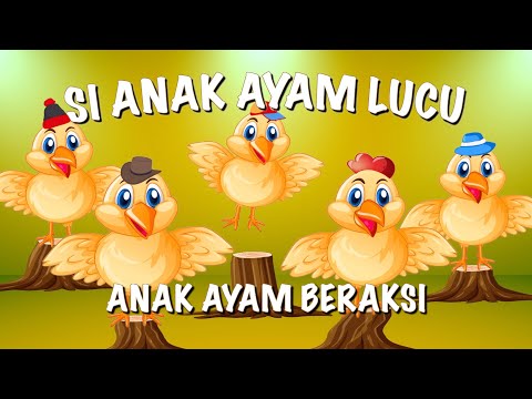 si ayam lucu versi 2023 - lagu anak ayam lucu - lagu anak indonesia