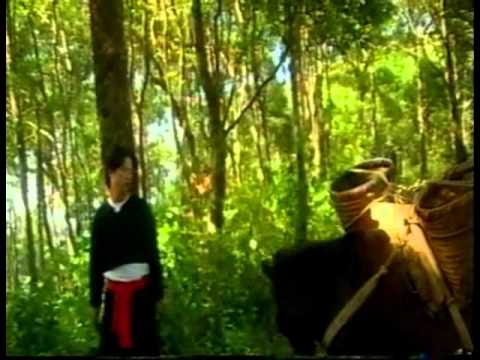 80 Xyoo Tseem Hlub 1.6