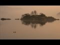 The Best Pessimist-Above The Fog (Part 1 ...