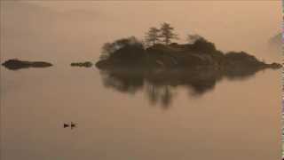 The Best Pessimist-Above The Fog (Part 1)