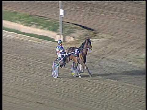 Trotto 24/06/2017 - 3ª prova di qualifica