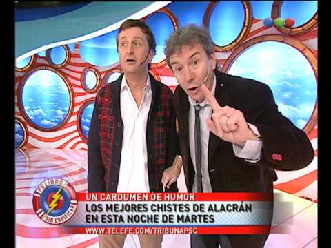 Alacrán, Encuesta - Peligros Sin Codificar