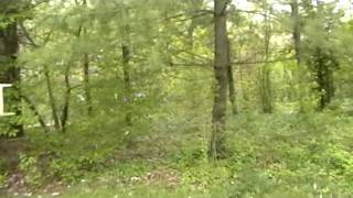 preview picture of video '2400 Cedar Hill Road Canal Winchester OH 43147'