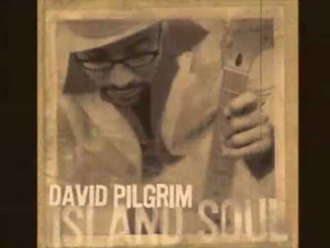 David Pilgrim - Slave - Island Soul