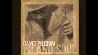 David Pilgrim - Slave - Island Soul