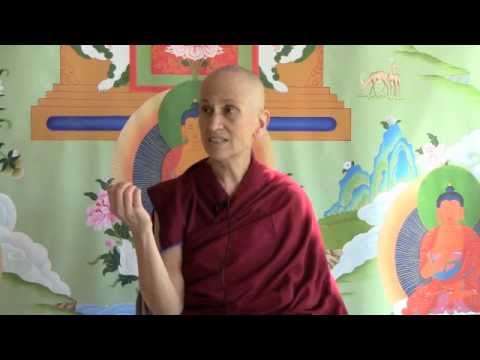 04-08-11 Dharma Guidance on World Events: Narcos and the Wide-Ranging Impact of Drugs - BBCorner