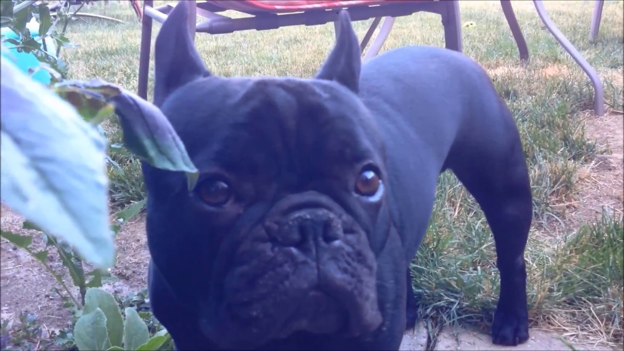 Dogme 16 | Short Film | 2016 | NEW!