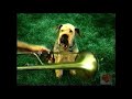 Pedigree Jumbone Television Commercial 2004
