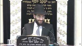 הרב משה יוסף • מתי מקיימים מצות ציצית מהתורה