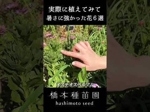 寒さ、暑さ、干ばつ、風など、あらゆるものに耐える植物を発見してください。  庭園