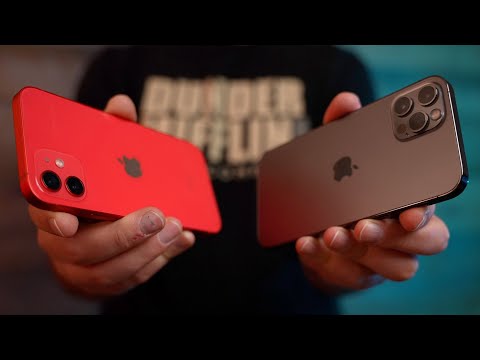 iPhone 12 vs 12 Pro - Differences Explained