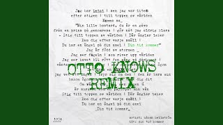 Otto Knows, Håkan Hellström - Din Tid Kommer (Otto Knows Remix) (Audio)