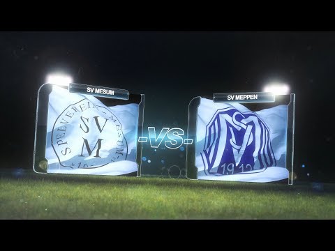 Testspiel 12.07.2017 / SV Mesum (Landesliga) - SV Meppen (3.Liga)
