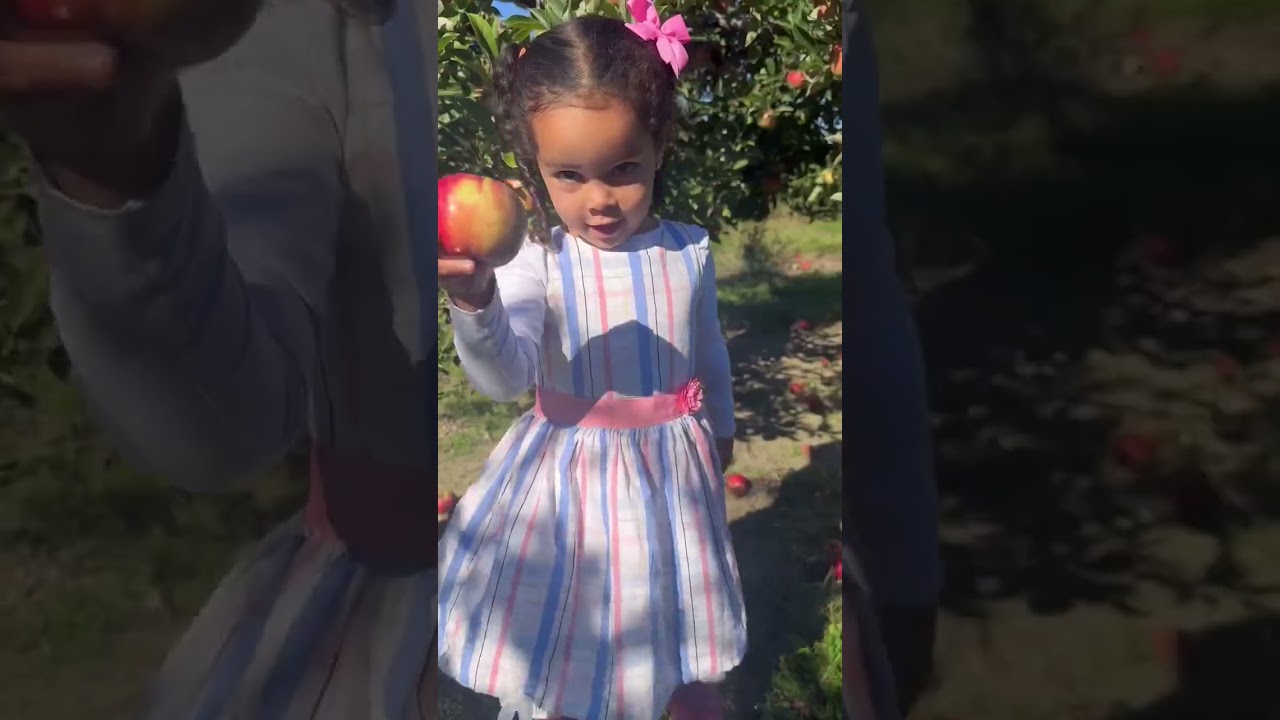 THE ULTIMATE FALL FAMILY BUCKET-LIST: All of these destinations can be done ANYWHERE that has a true