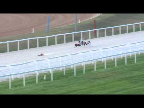 2017.08.04. 4. futam - Agár