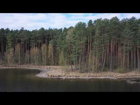 Staw 3 brzeg zachodni