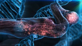 Download lagu 777 Hz , 528 Hz ANGELIC CODE, Repairs DNA Healing Code, Manifest Miracles, Release Negative Energy mp3 Download lagu 777 Hz , 528 Hz ANGELIC CODE, Repairs DNA Healing Code, Manifest Miracles, Release Negative Energy mp3