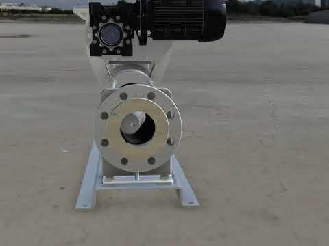 DHB Progressive Cavity Pump with Hopper, paddles and Bridge-breaker Overview