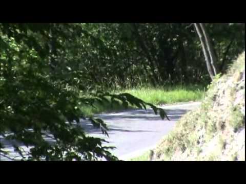 38° RALLY COPPA D'ORO 2012 MIX PS4 PS7