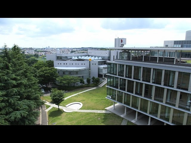 Toin University of Yokohama видео №1