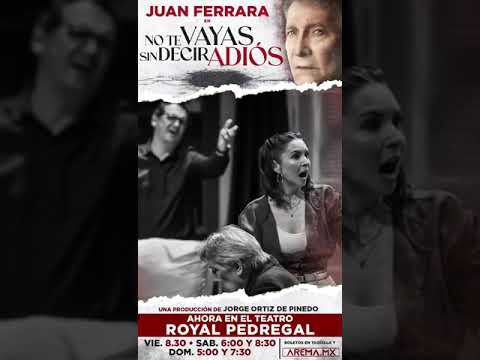 No te vayas sin decir adiós