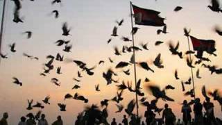 Khmer Bird song feat Timbaland feat LLYOD & LiL Wayne [ DJ JIMMY ]
